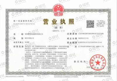沈陽麟龍科技 深耕互聯網軟硬件，以創新驅動穩中求勝
